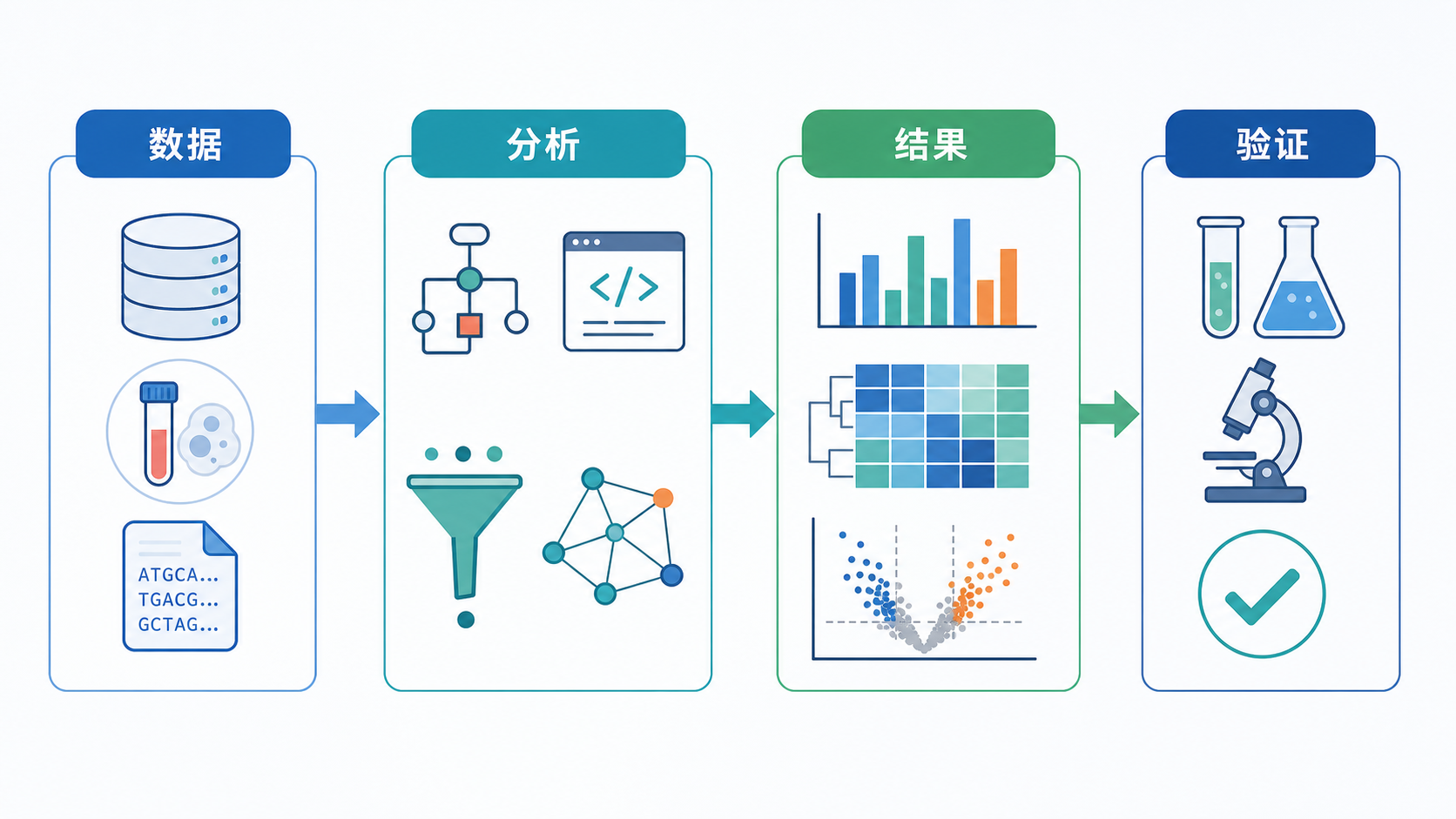 一张生物信息学分析流程总览图，包含数据、分析、结果、验证四个模块，风格简洁专业。