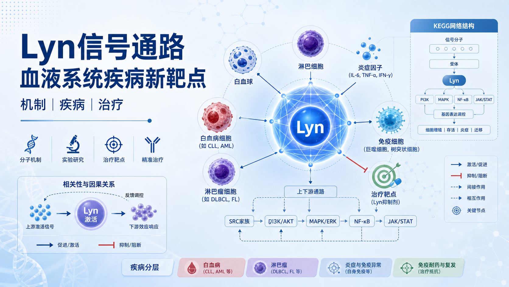 Lyn信号通路在血液系统疾病中的应用
