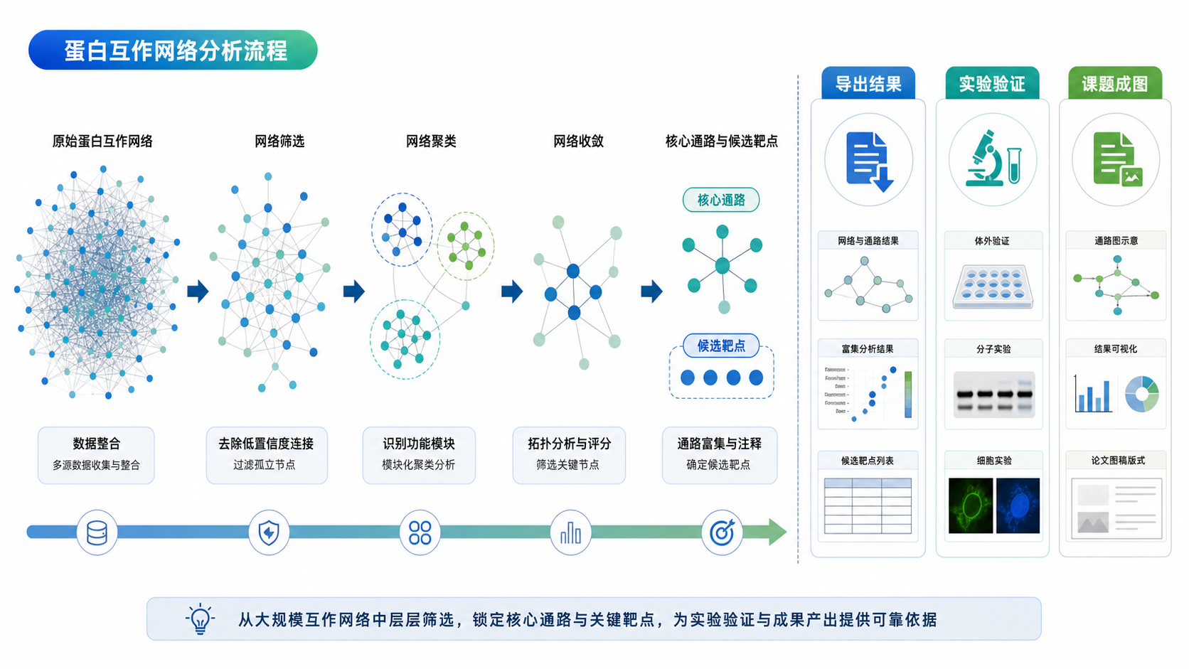 一张从蛋白互作网络逐步收敛到核心通路和候选靶点的流程图，右侧展示“导出结果、实验验证、课题成图”的研究路径。