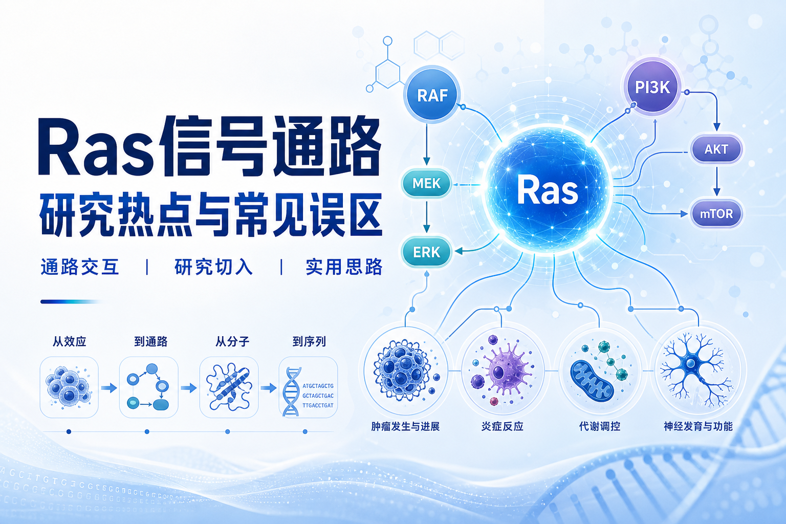 Ras信号通路研究热点与进展