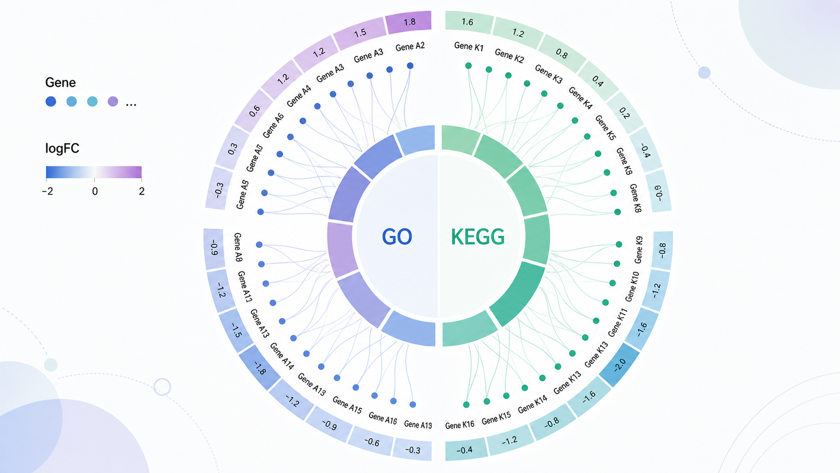 转录组富集圈图示意图，中心为GO/KEGG条目，外圈为基因及logFC，整体呈现层级关联结构