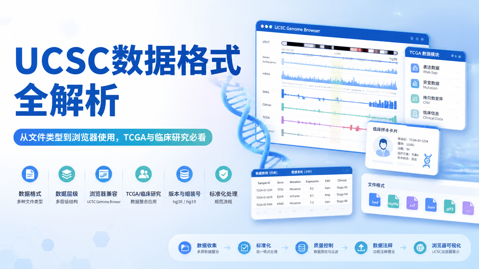 UCSC数据格式是什么？7个关键点速读