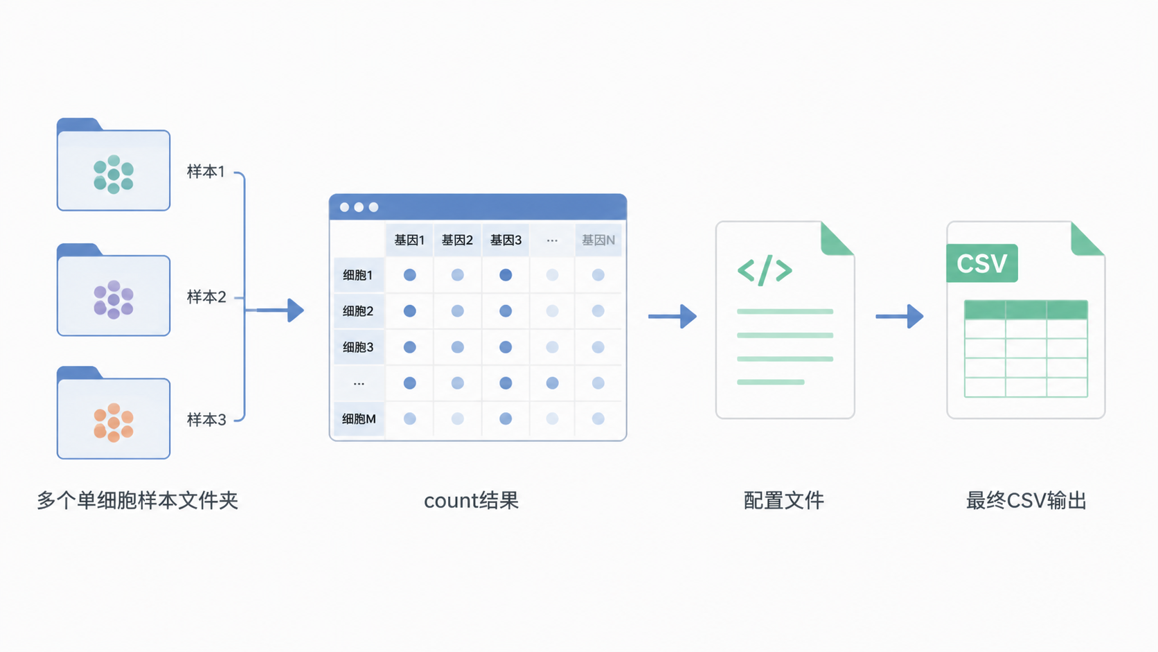 多个单细胞样本文件夹合并成一个矩阵的流程示意图，展示count结果、配置文件和最终CSV输出