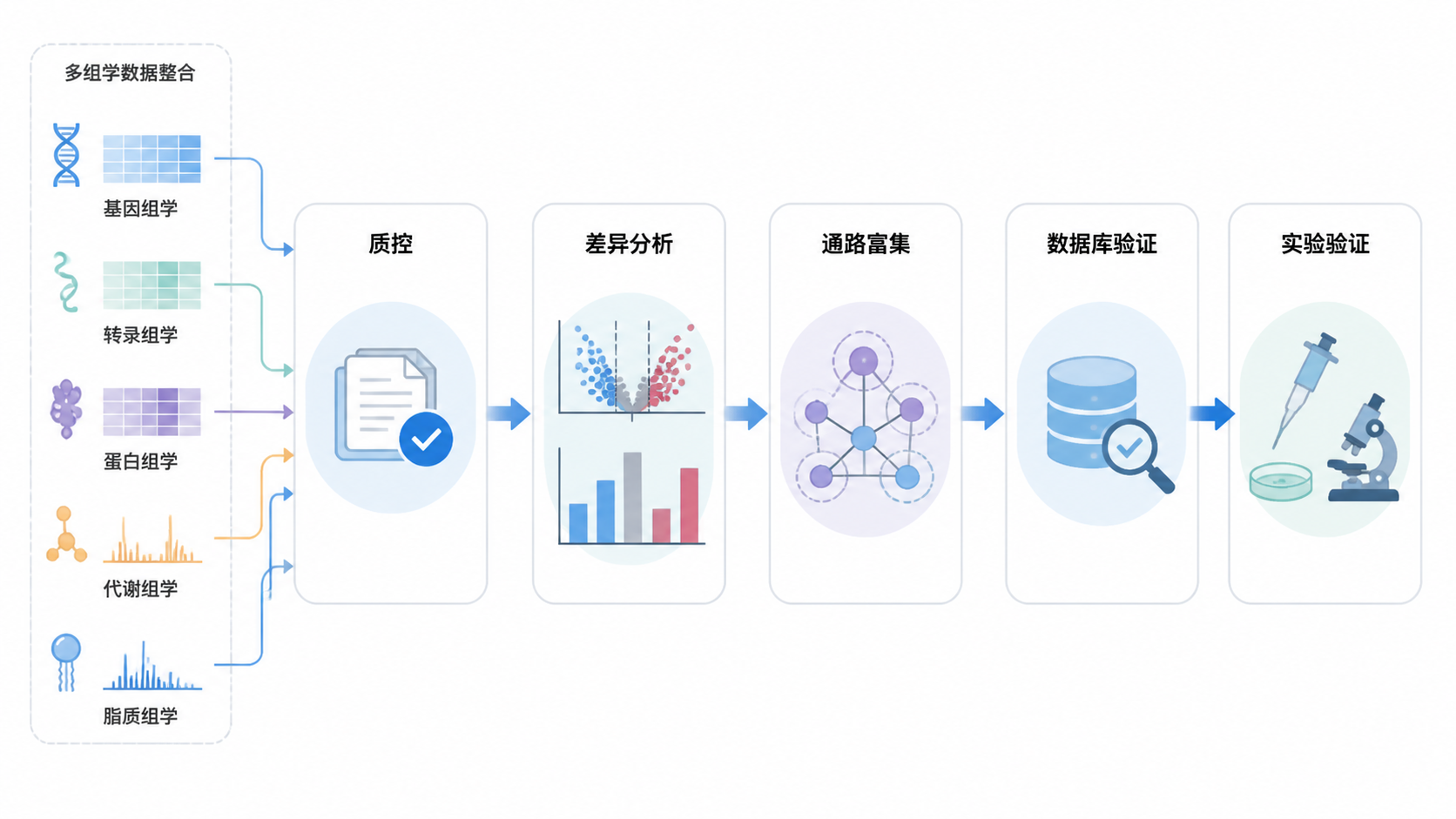 科研人员将多组学分析流程串联在一起的示意图，包含质控、差异分析、通路富集、数据库验证和实验验证五个模块。