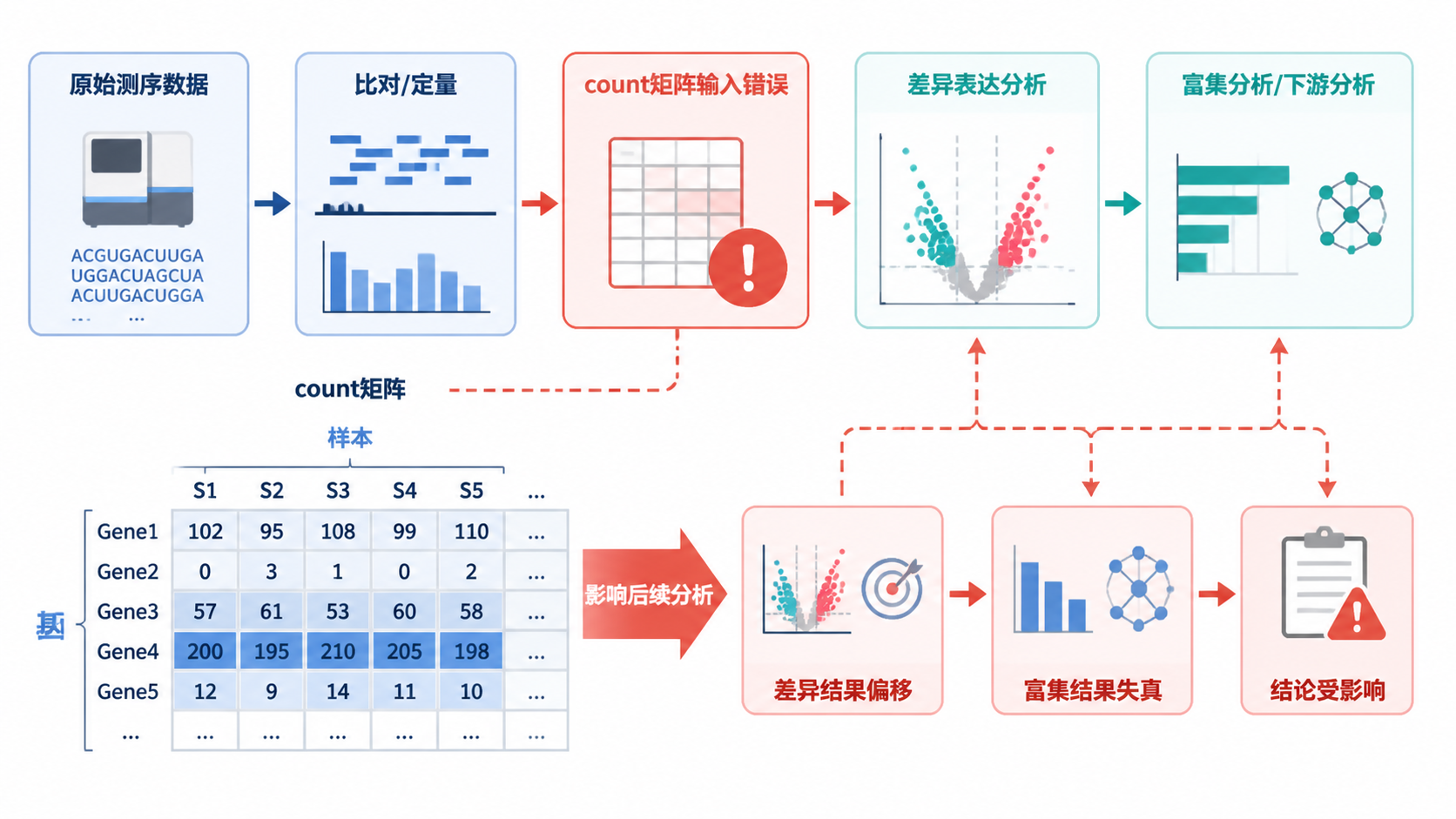 一张转录组分析流程图，突出count矩阵输入错误会影响后续分析环节，旁边配有矩阵与样本、基因的示意表格。