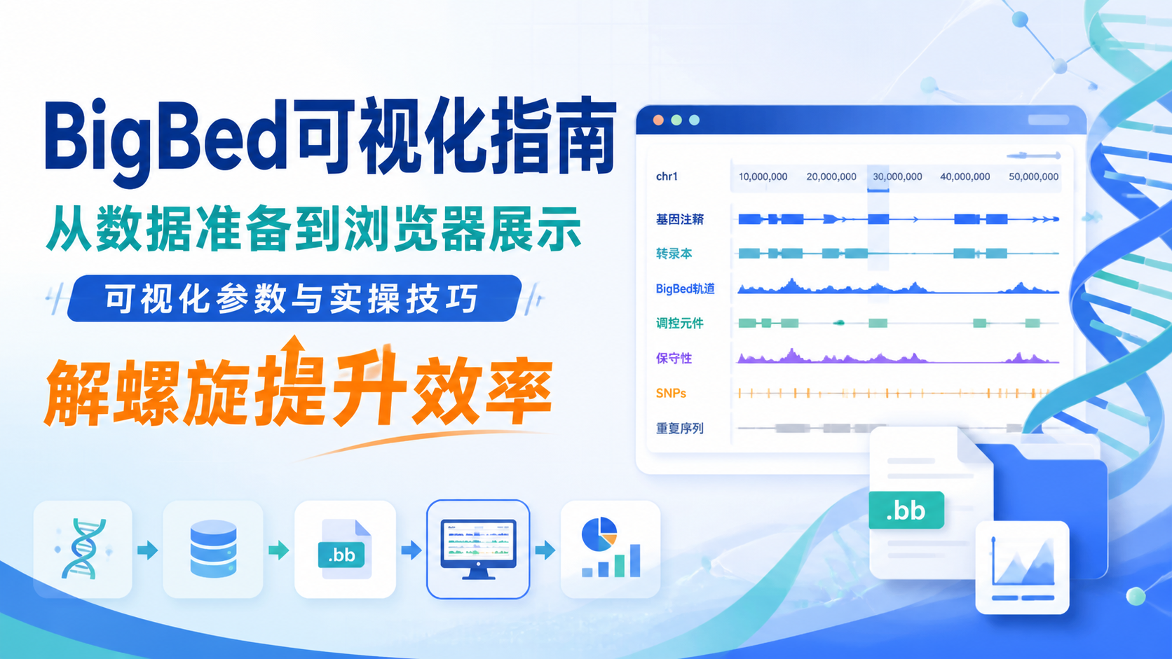 BigBed可视化入门到精通的6个关键点