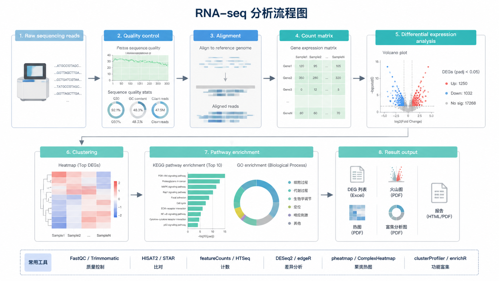 一张RNA-seq分析流程图，展示从原始测序数据到差异分析、聚类、通路富集和结果输出的完整路径。