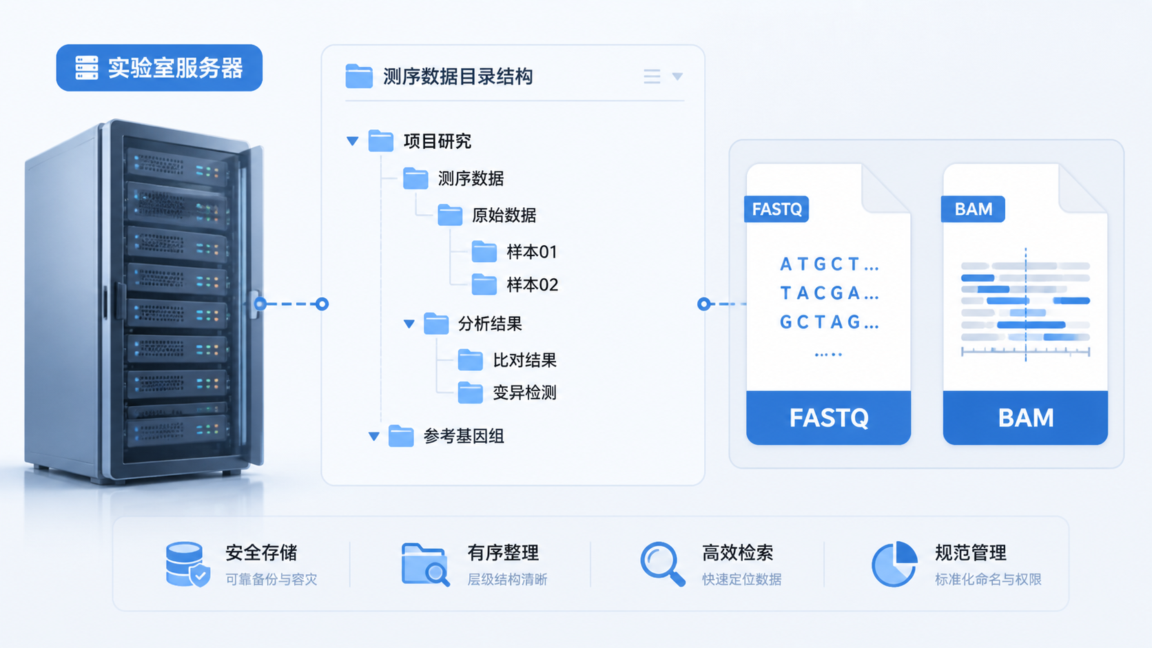 实验室服务器、测序文件目录结构、FASTQ和BAM文件图标并列展示，体现数据管理场景