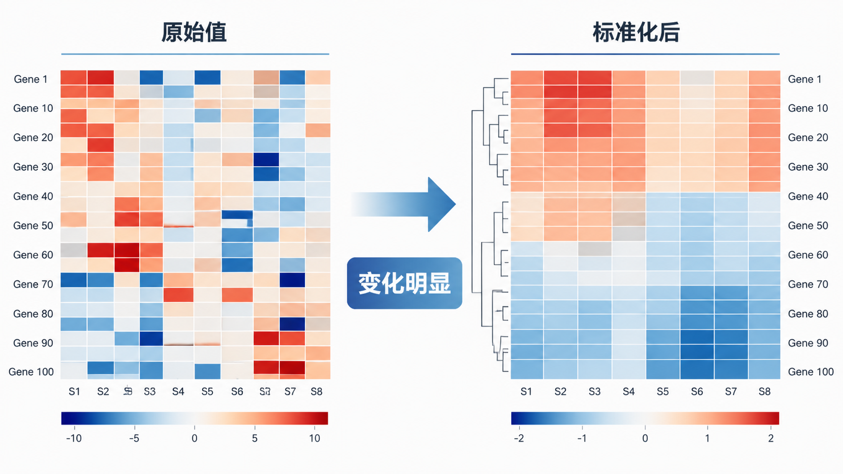 一张RNA测序表达矩阵从原始值到标准化后热图对比图，突出“前后变化明显”