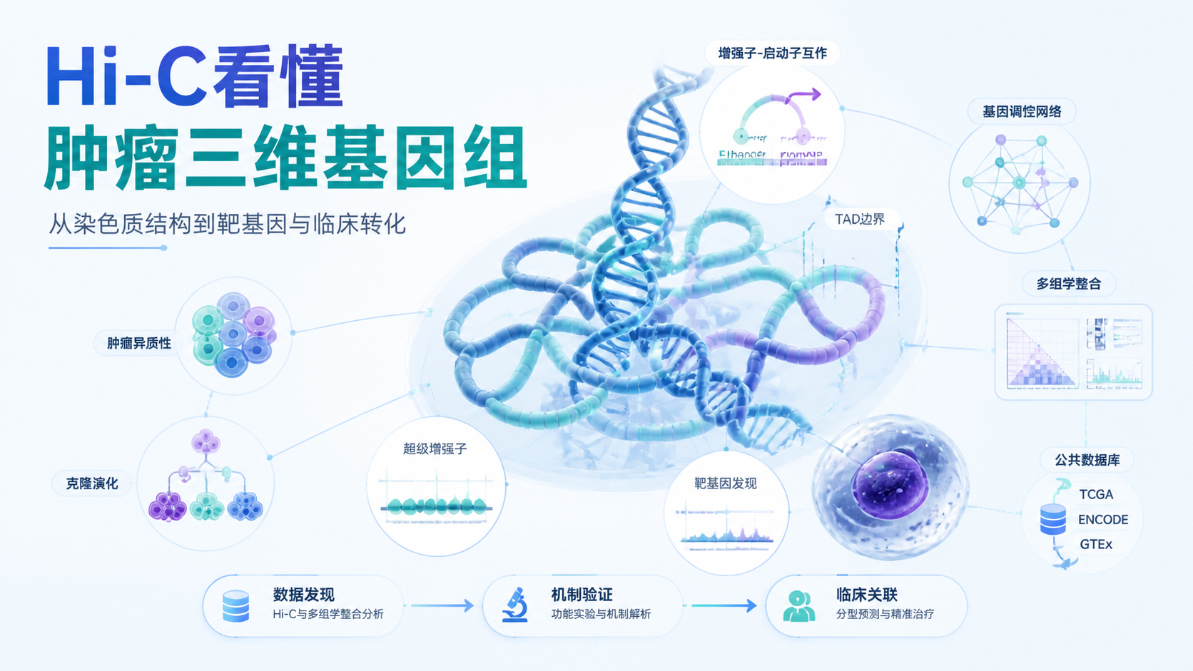 Hi-C数据在肿瘤研究中的4大应用