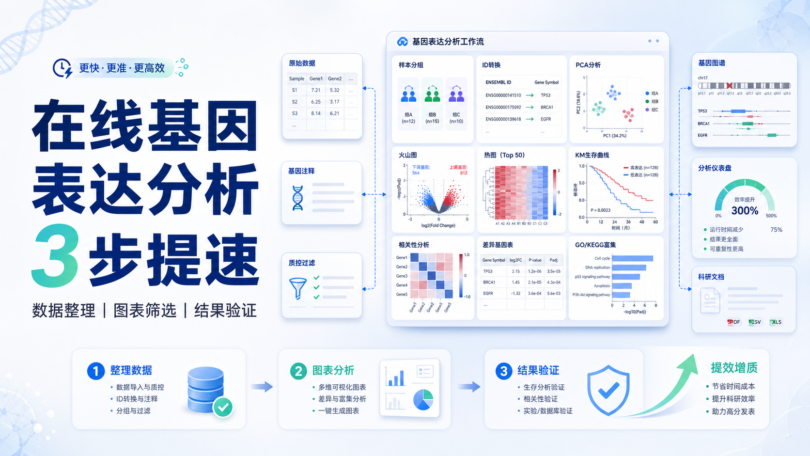 在线基因表达分析怎么做才更精准高效？
