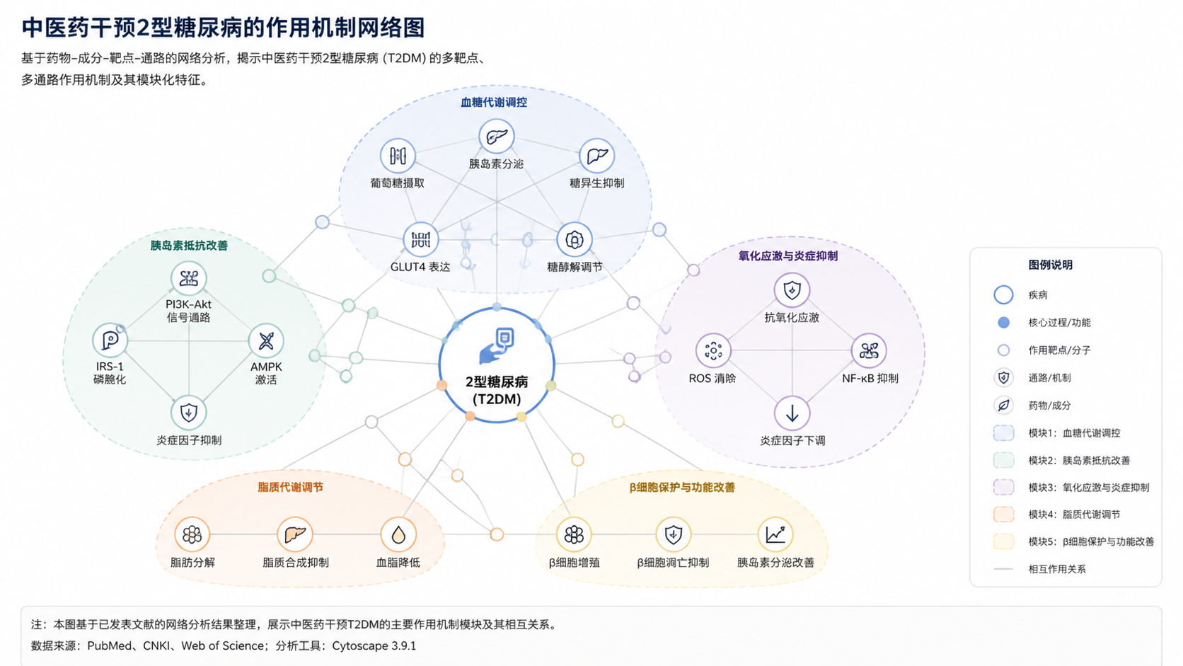 一张高质量科研网络图成品示意，包含清晰节点、模块分组、图例和论文式排版，体现专业发表效果。