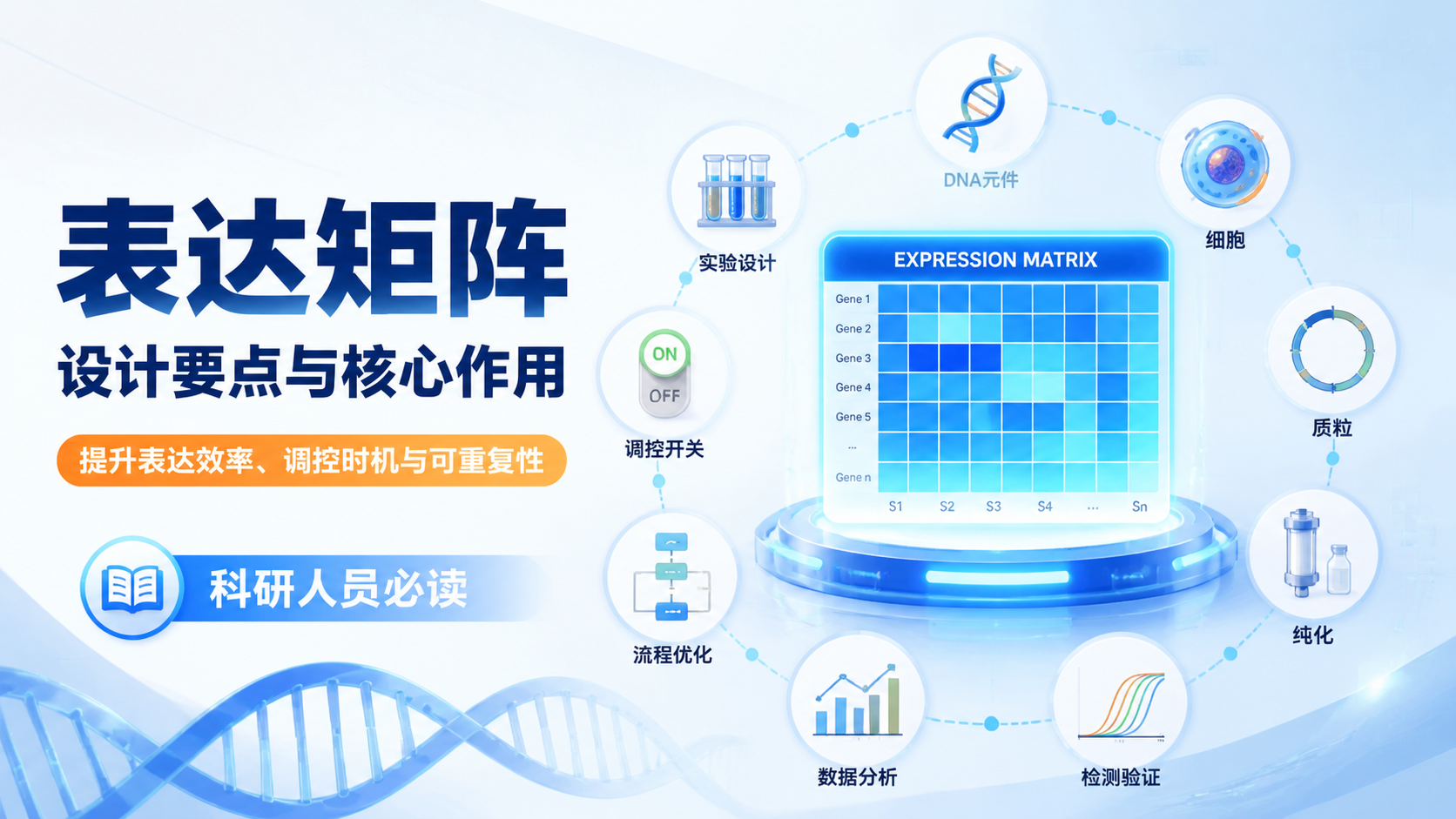 表达矩阵的3大核心作用是什么？