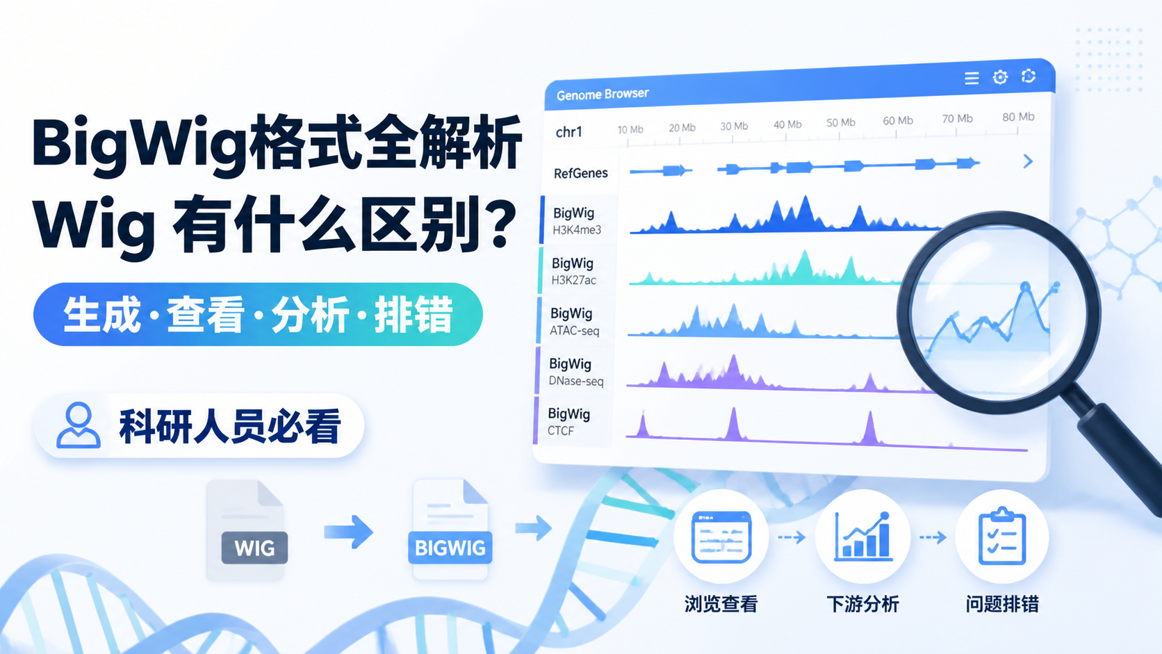 BigWig格式怎么用？7个关键问题全解答