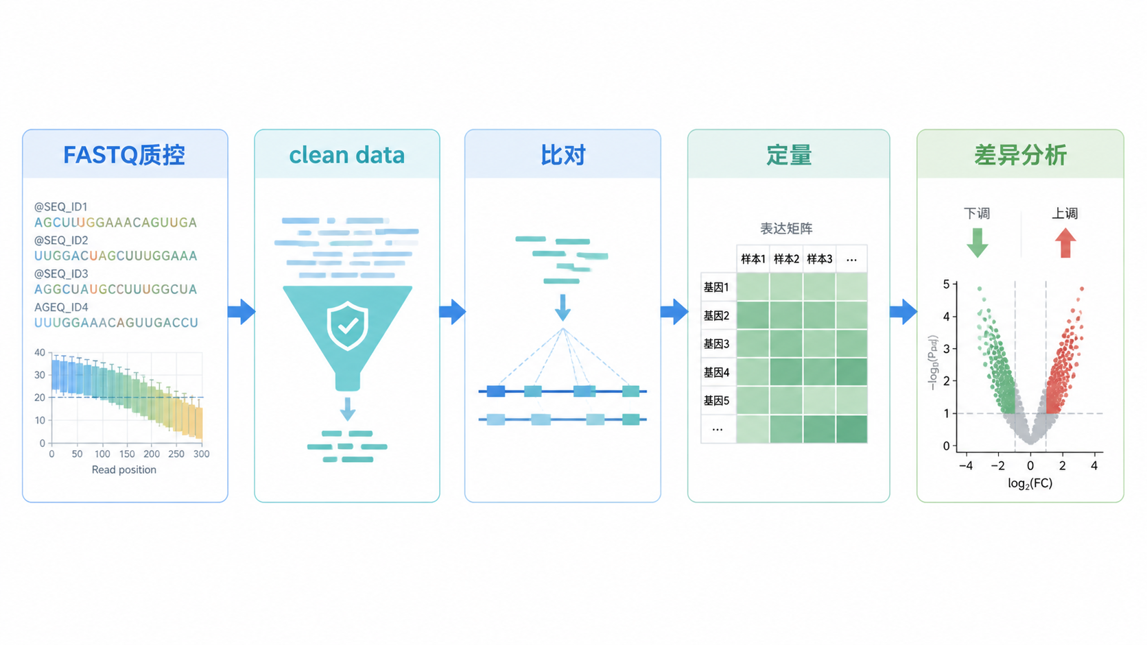 一张清晰的RNA-seq数据分析流程图，从FASTQ质控到clean data、比对、定量、差异分析，突出FASTQC和Q30标记。