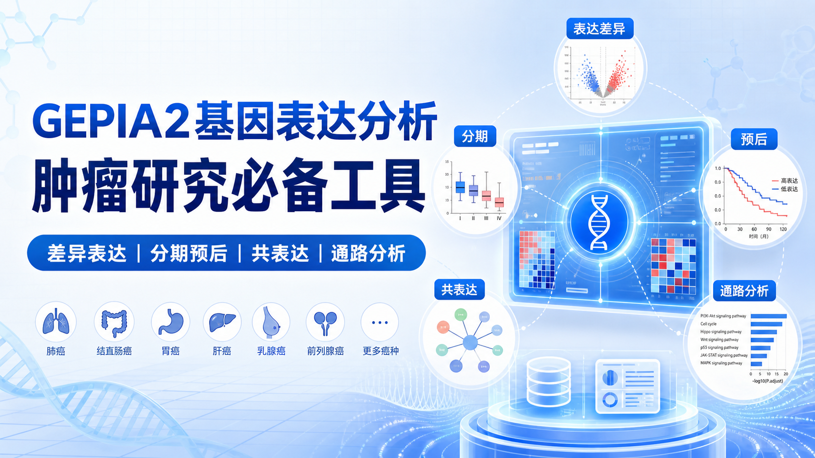 GEPIA2基因表达的5大研究价值是什么？