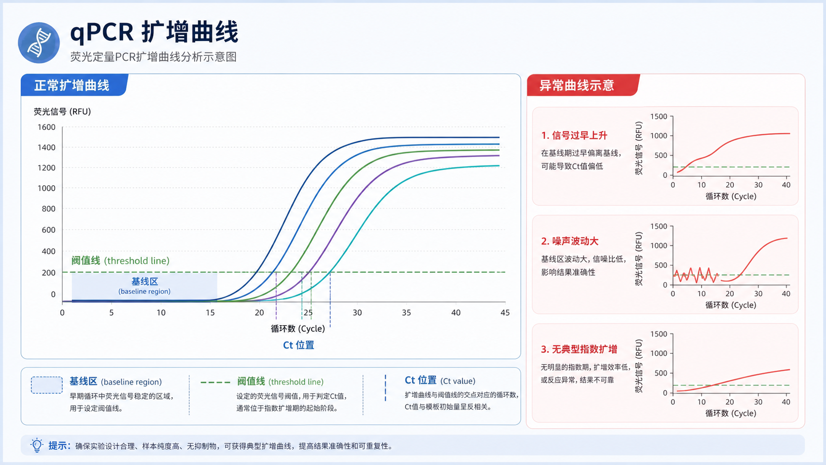 qPCR扩增曲线界面示意图，重点标出基线区、阈值线和异常曲线对比图。