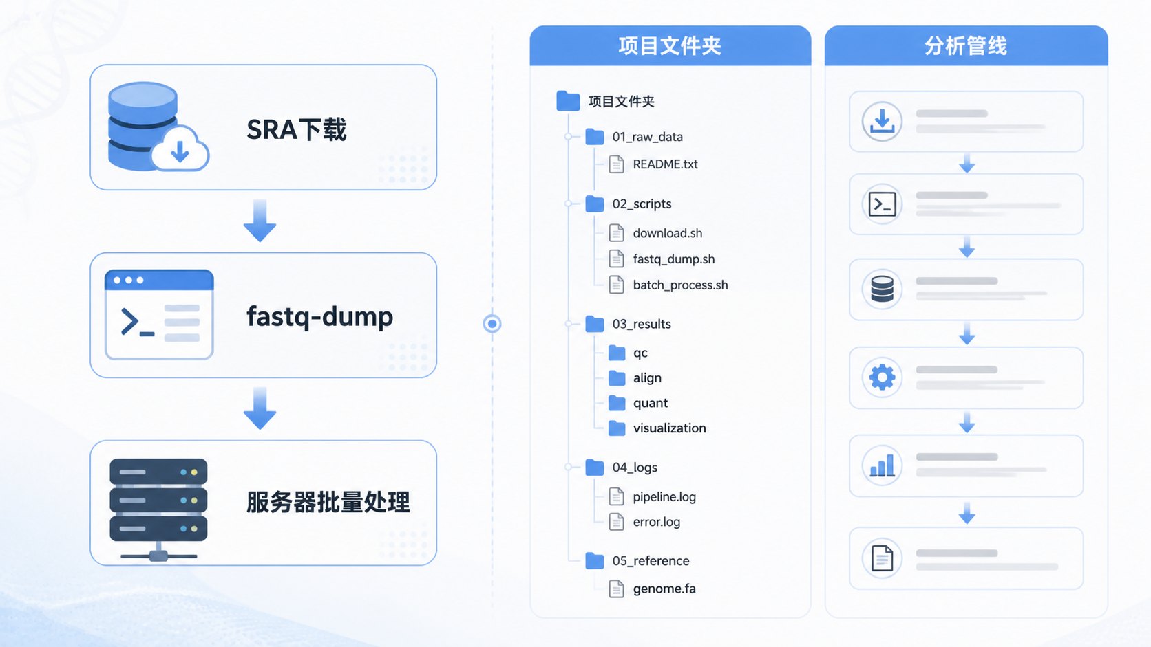 SRA数据下载、fastq-dump转换、服务器批量处理流程图，右侧展示整洁的项目文件夹与分析管线示意图