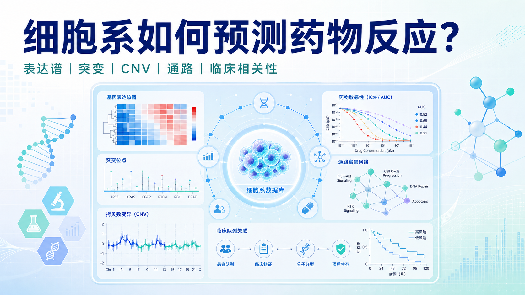 在线CCLE数据分析的7个关键指标