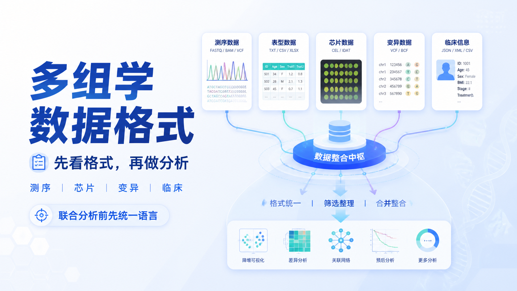 多组学数据格式的4大核心类型