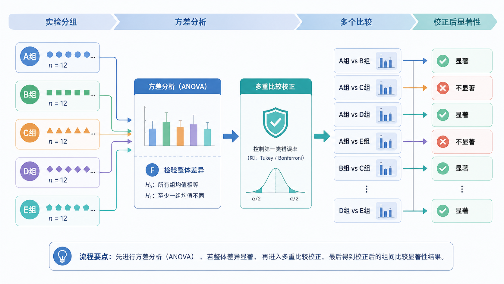 实验分组与统计检验流程示意图,突出“方差分析后进入多重比较校正”的步骤