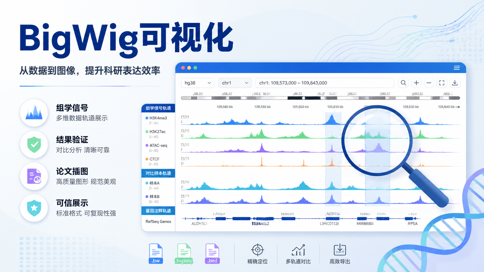 BigWig可视化为何成为研究必备工具？