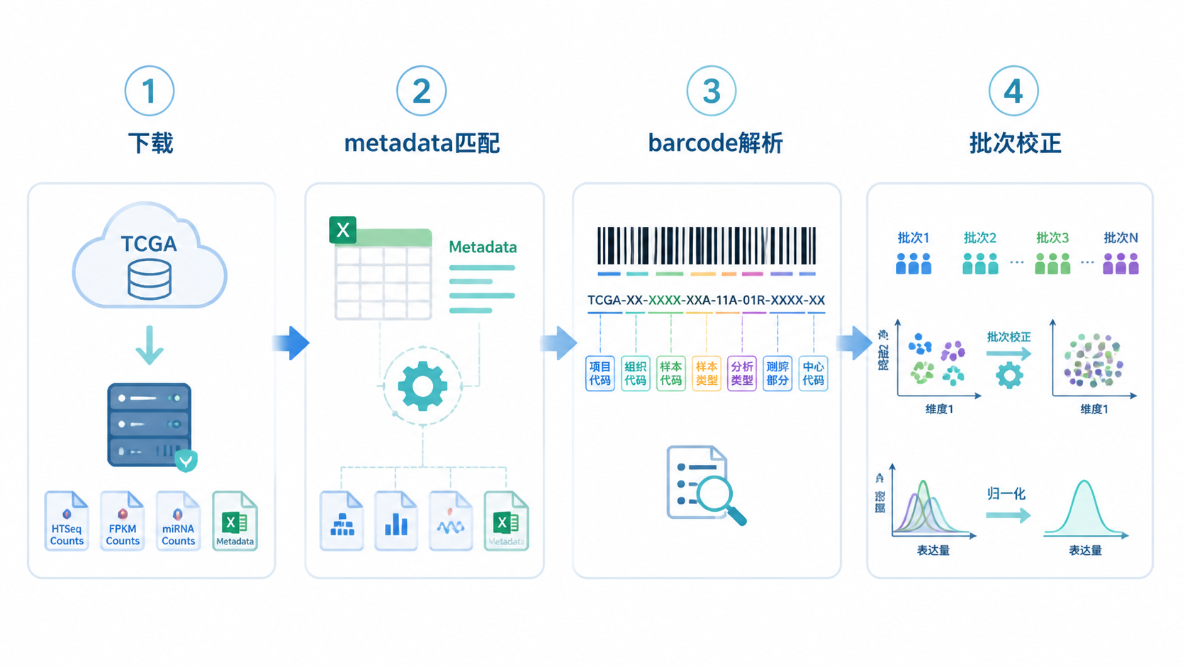 一张TCGA表达数据处理流程示意图，包含下载、metadata匹配、barcode解析、批次校正、过滤和分析六个步骤，风格简洁专业。