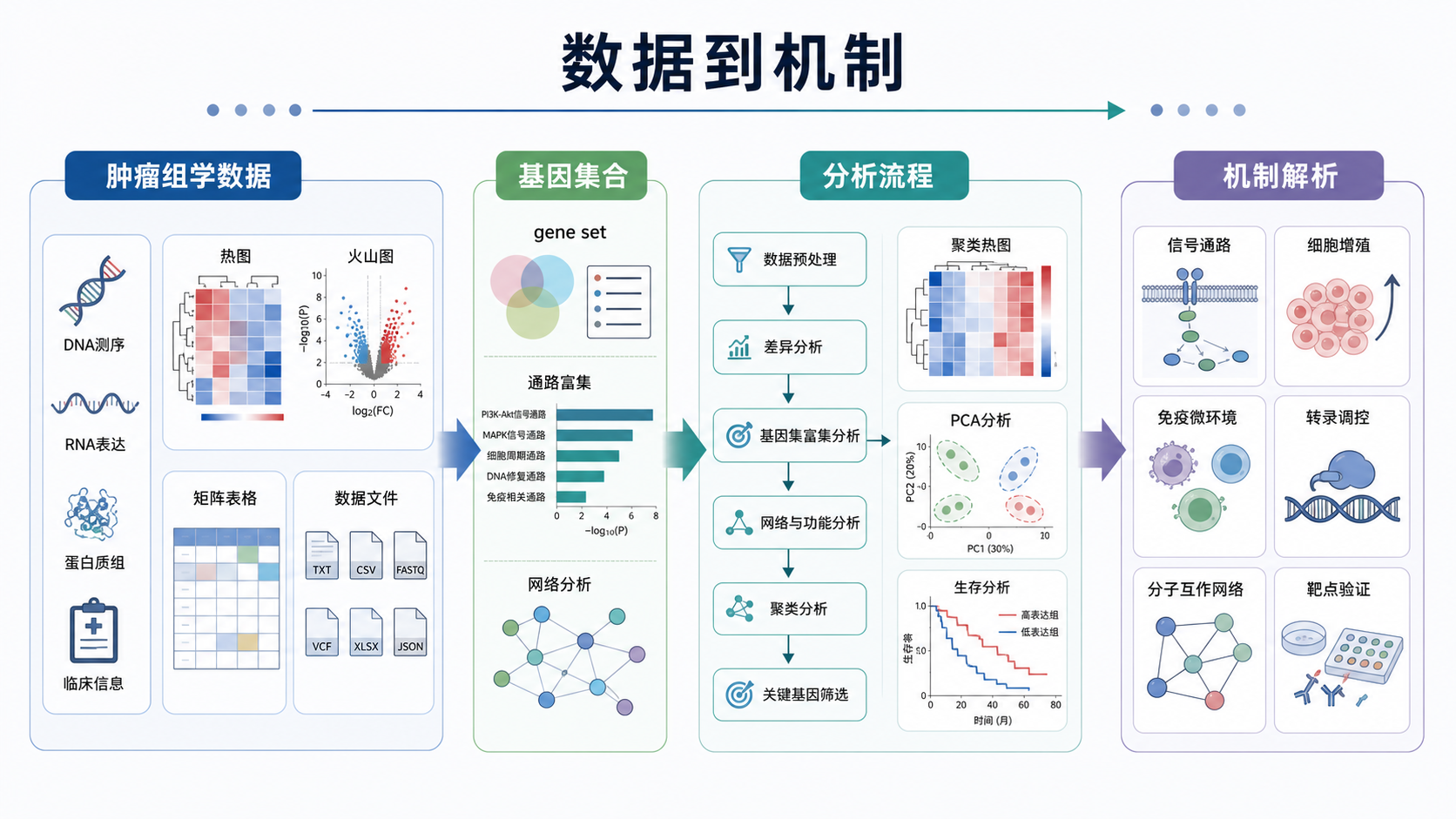肿瘤组学数据、基因集合和分析流程的示意图，突出“从数据到机制”的研究链条