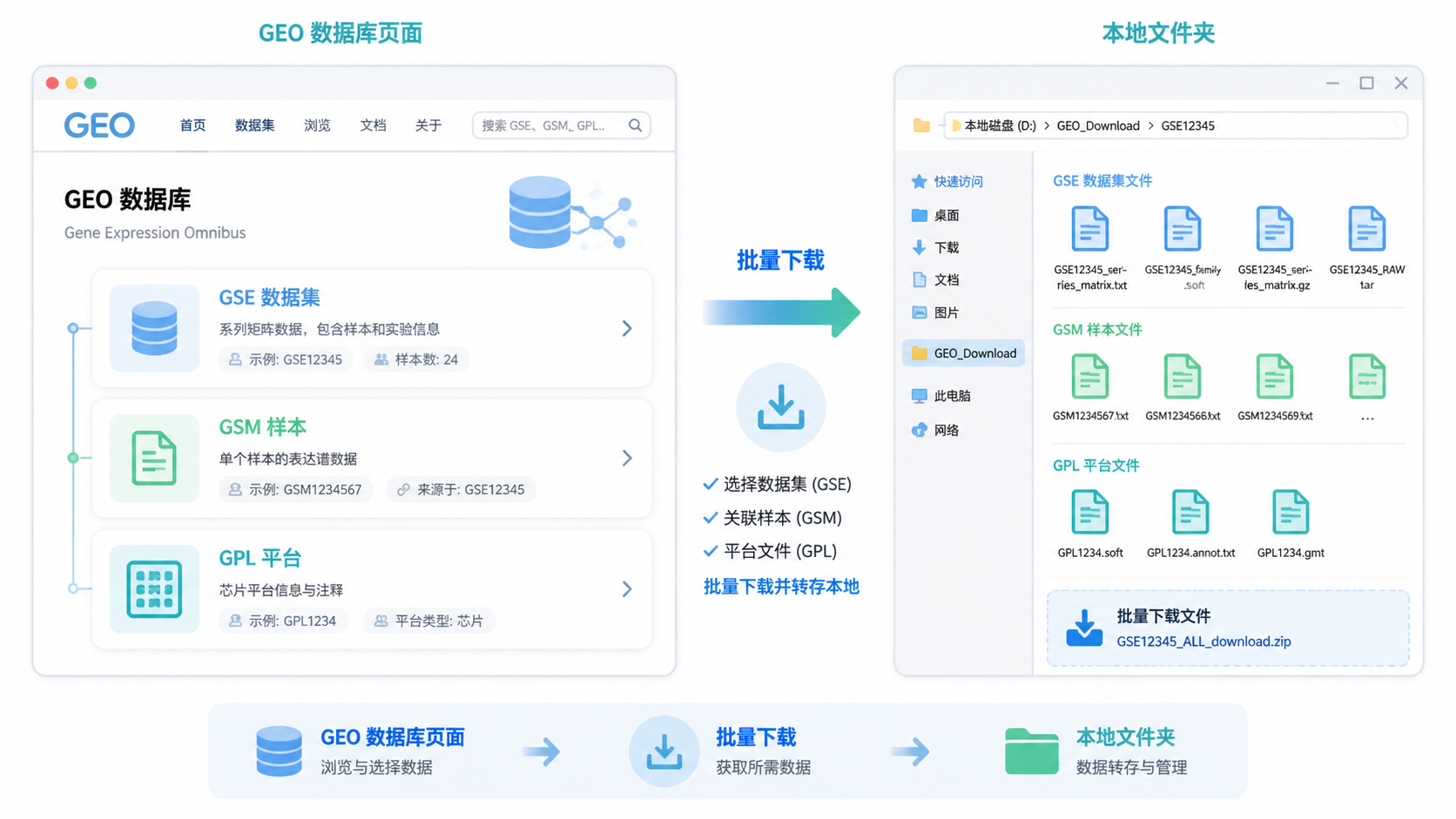 一张GEO数据库页面与下载文件夹对比的示意图，展示GSE、GSM、GPL文件和批量下载流程。