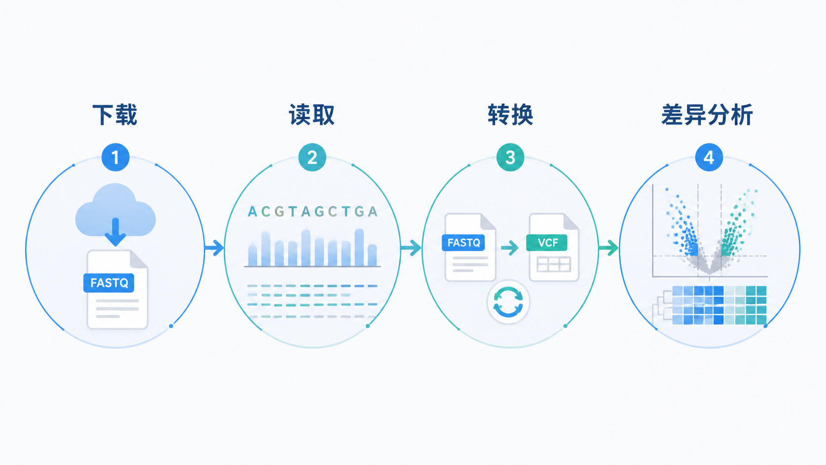 外显子测序数据分析流程图，包含下载、读取、转换、差异分析四个步骤，风格简洁专业