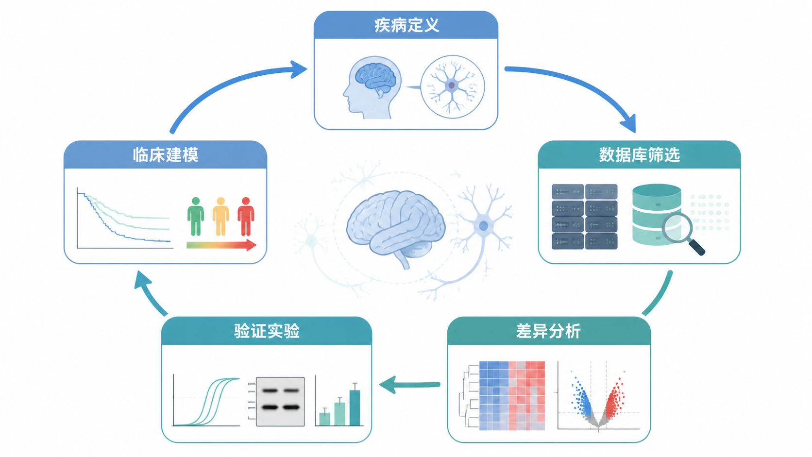 神经专科生信分析流程图，展示疾病定义、数据库筛选、差异分析、验证实验和临床建模的完整闭环