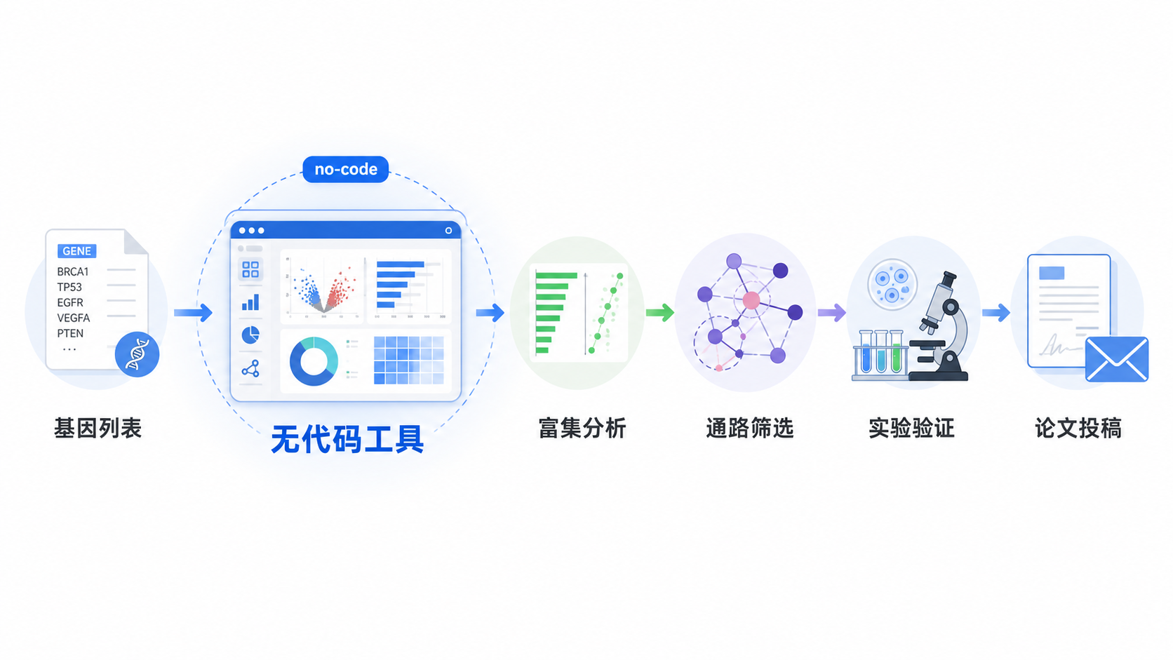 一张科研流程示意图,从基因列表输入到富集分析、通路筛选、实验验证,再到论文投稿,突出“无代码工具+专业服务”闭环。