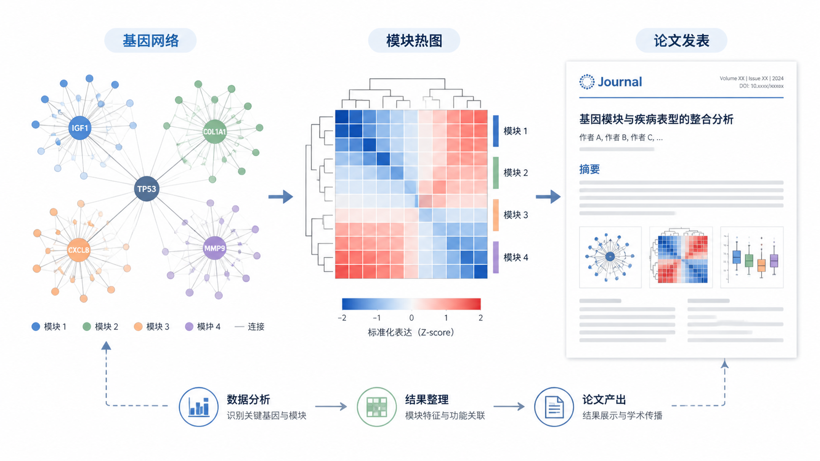 完成后的高质量基因网络图、模块热图与论文页面并列展示，突出“从分析到发表”的闭环场景。