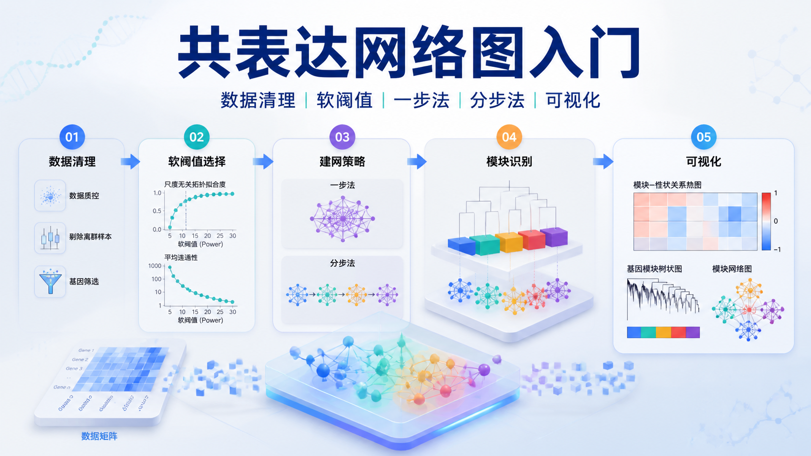 共表达网络图怎么构建？5步详解