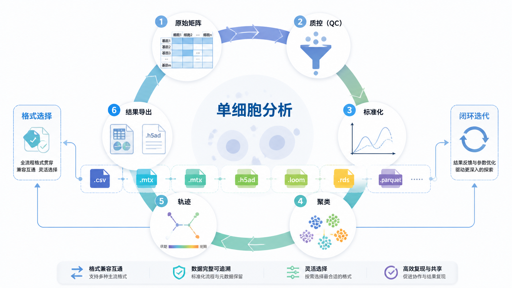 单细胞分析流程闭环图，从原始矩阵到质控、标准化、聚类、轨迹和结果导出，强调格式选择贯穿全流程