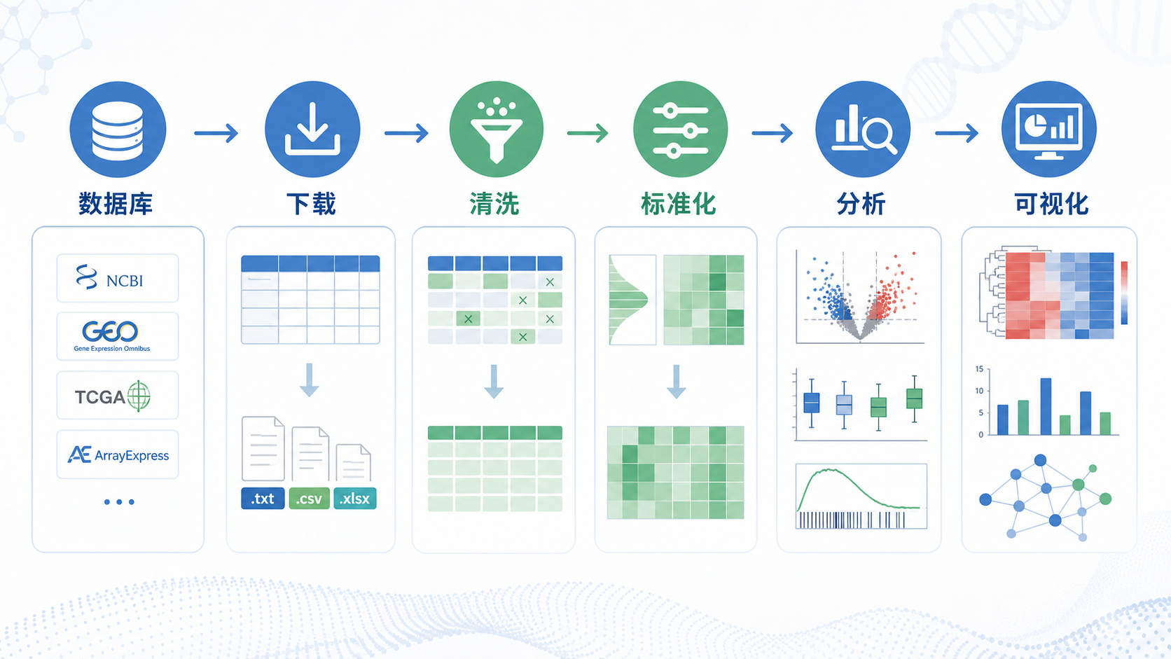 一张生物信息学工作流图，展示从数据库下载、数据清洗、标准化到可视化分析的流程，风格简洁专业。