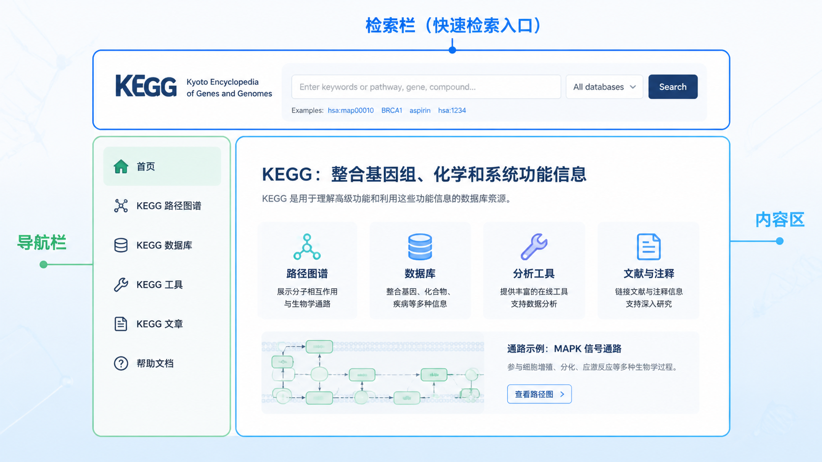 一张KEGG主页界面示意图，标注顶部检索栏、左侧导航栏和右侧内容区，强调“快速检索入口”