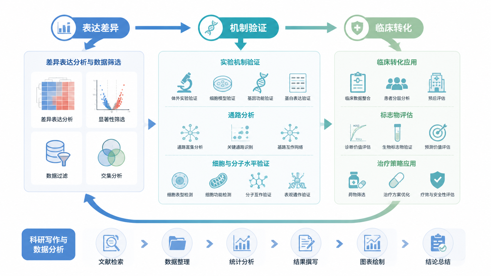 一张“从表达差异到机制验证再到临床转化”的流程闭环图，底部标注科研写作与数据分析步骤，风格学术、清晰。