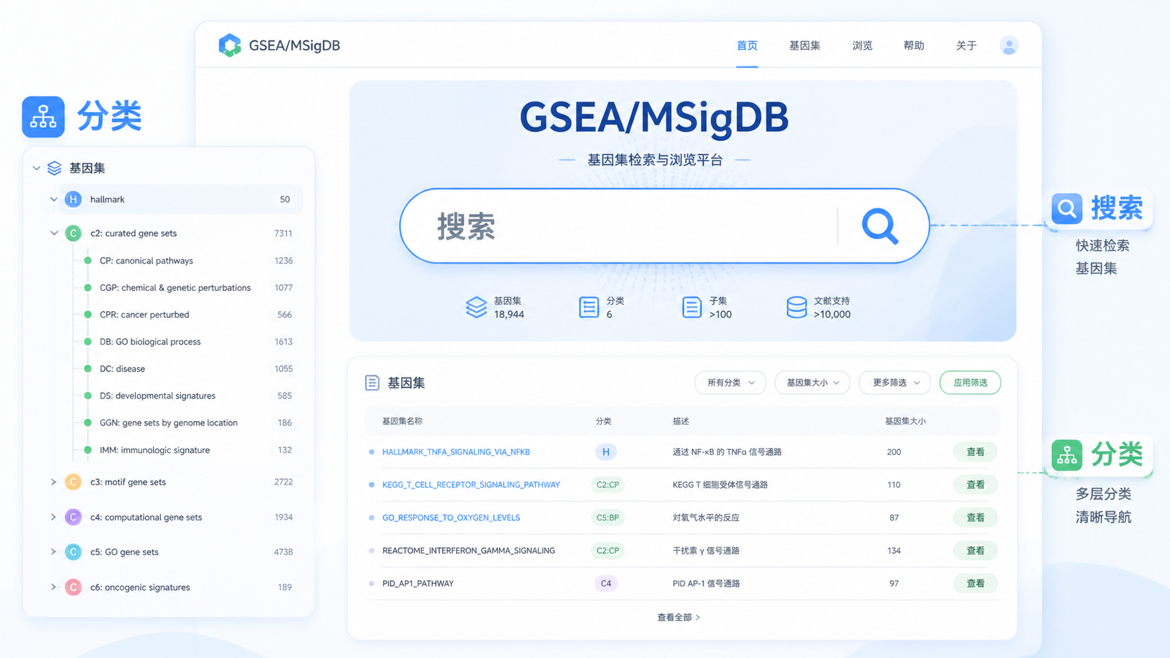一张GSEA/MSigDB数据库首页、基因集分类和搜索框的组合示意图，突出“检索”和“分类”两个核心元素。