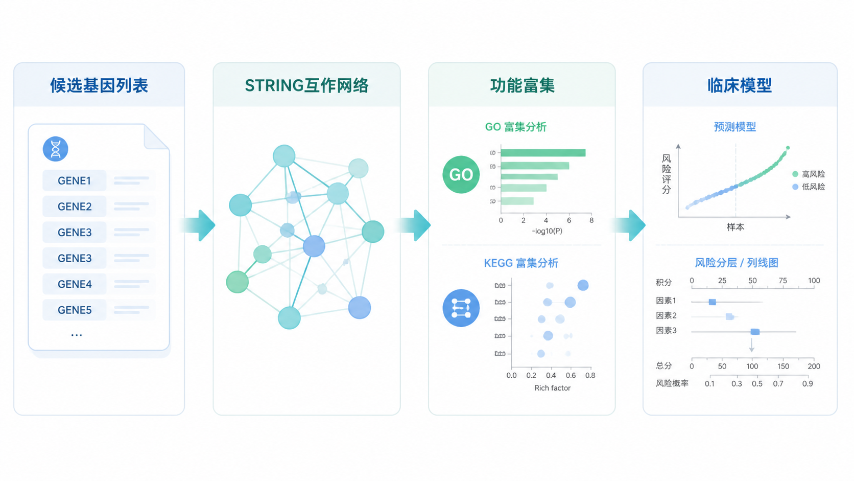 科研工作流示意图，从候选基因列表、STRING互作网络、功能富集到临床模型，形成一条清晰的分析路径