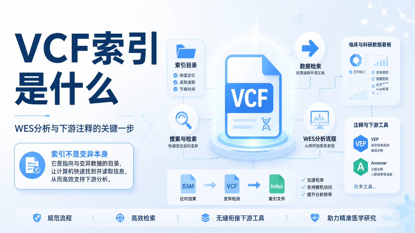 VCF索引是什么？5个核心要点解析