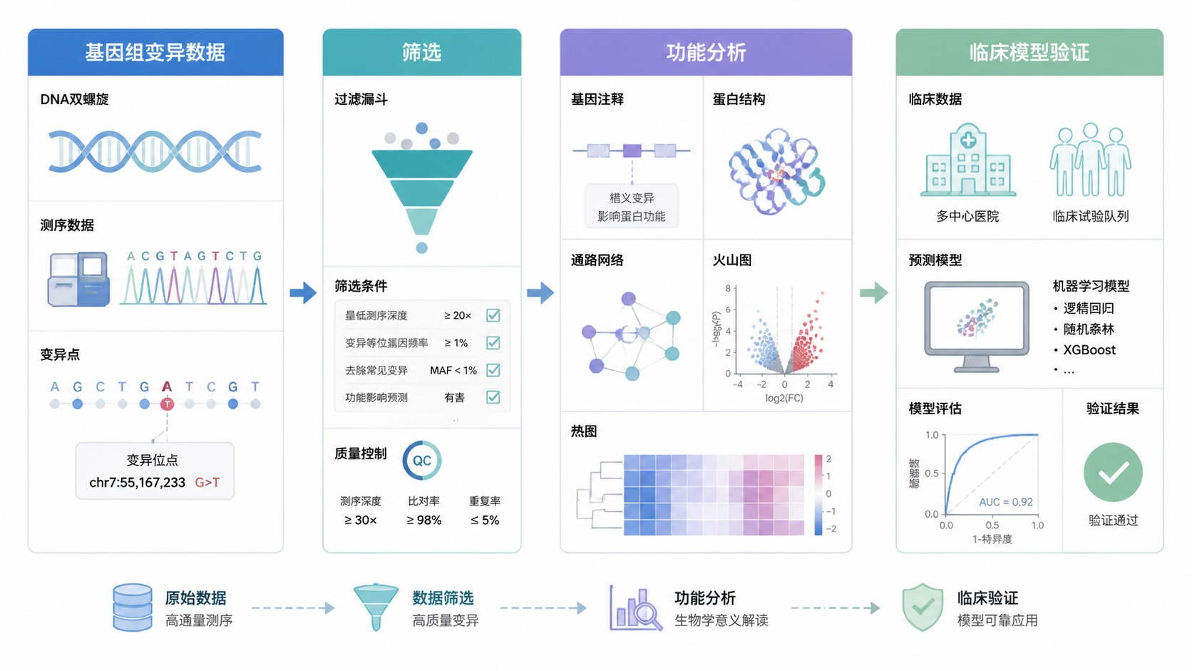 一页整洁的科研分析流程图，展示基因组变异数据从筛选、功能分析到临床模型验证的完整路径。