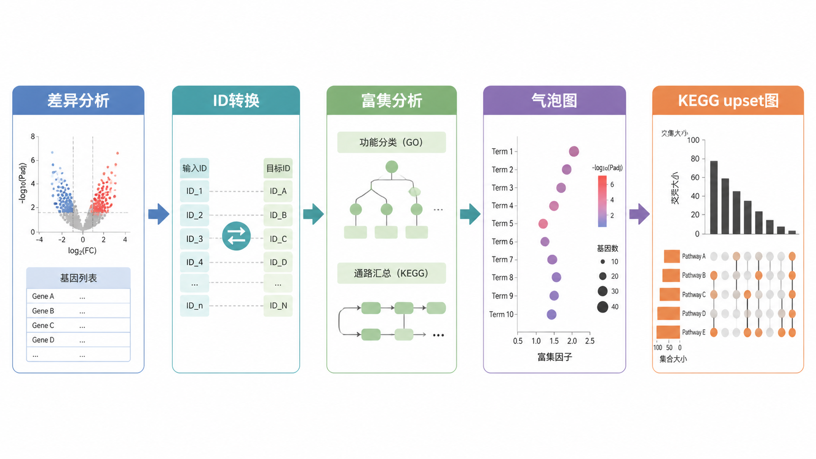 整理好的富集分析工作流图，从差异分析、ID转换、富集分析到气泡图和KEGG upset图