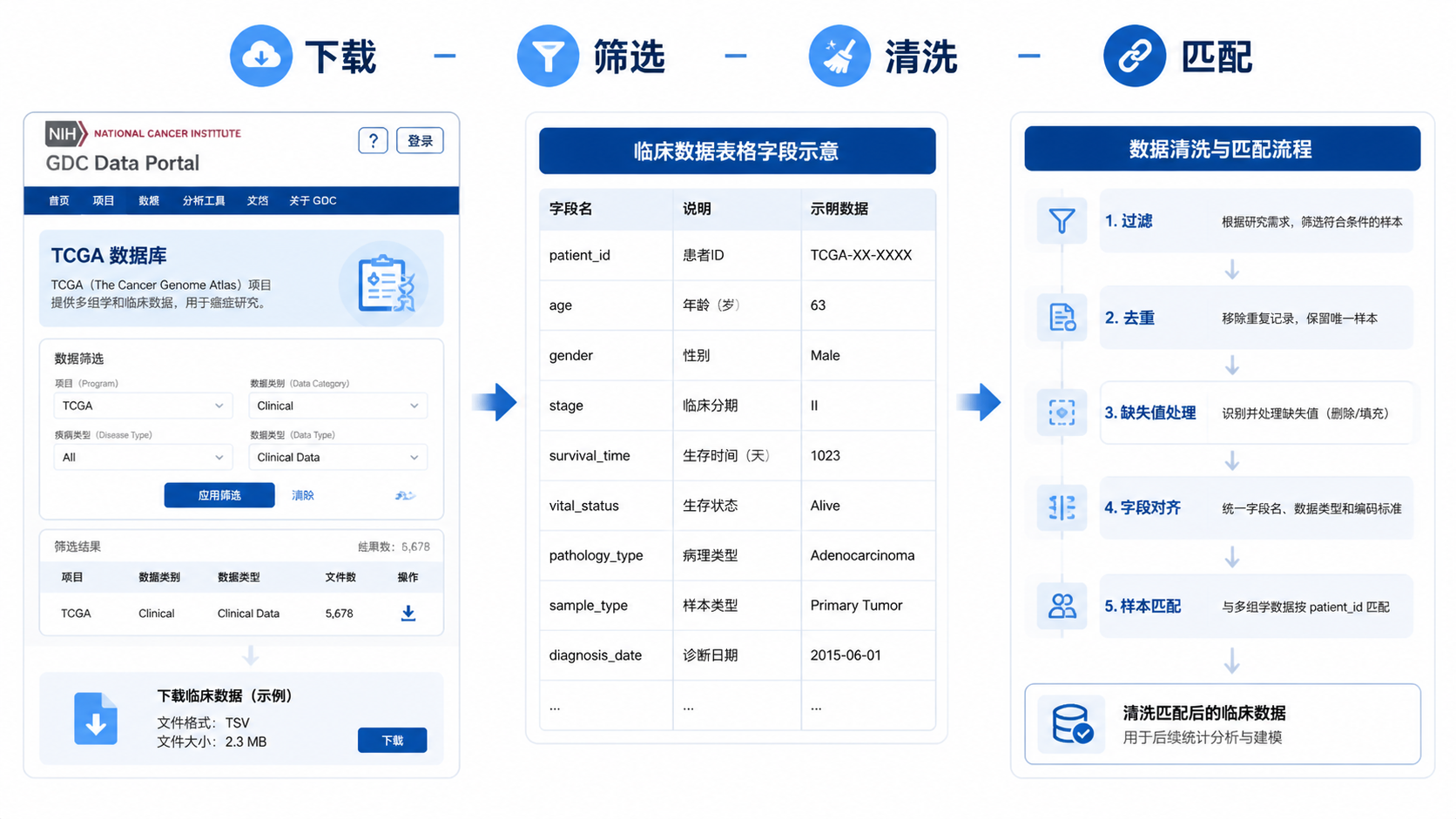 TCGA数据库页面、临床表格字段与数据清洗流程的组合示意图，突出“下载-筛选-清洗-匹配”流程