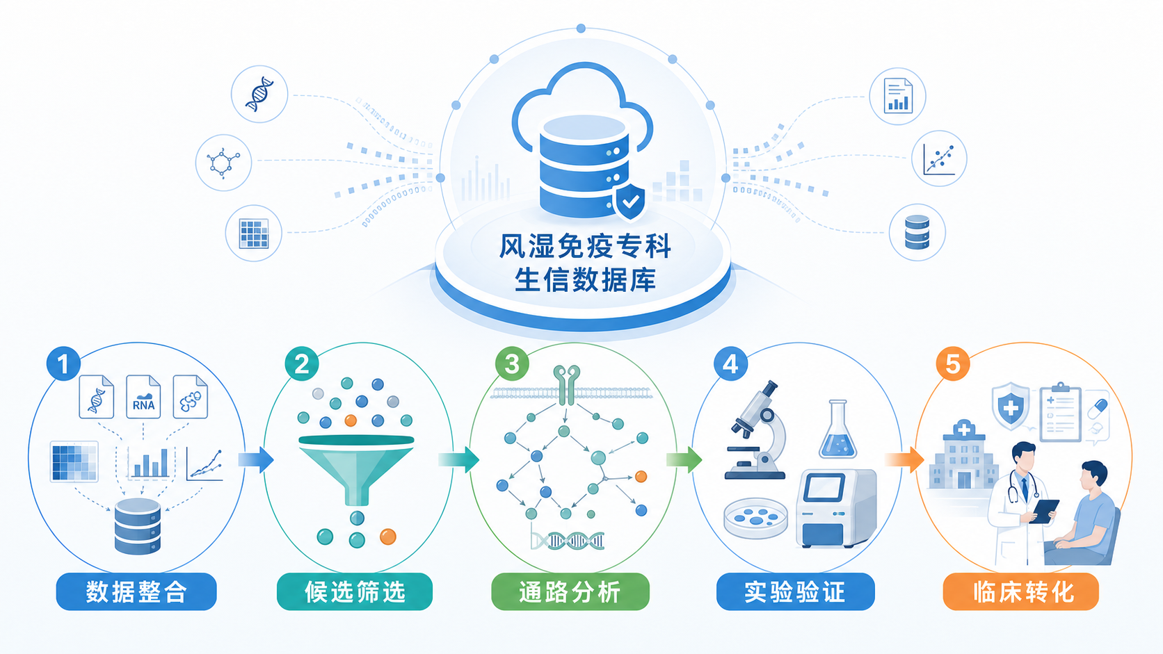 风湿免疫专科生信数据库应用流程图，展示“数据整合、候选筛选、通路分析、实验验证、临床转化”五步路径，风格专业简洁