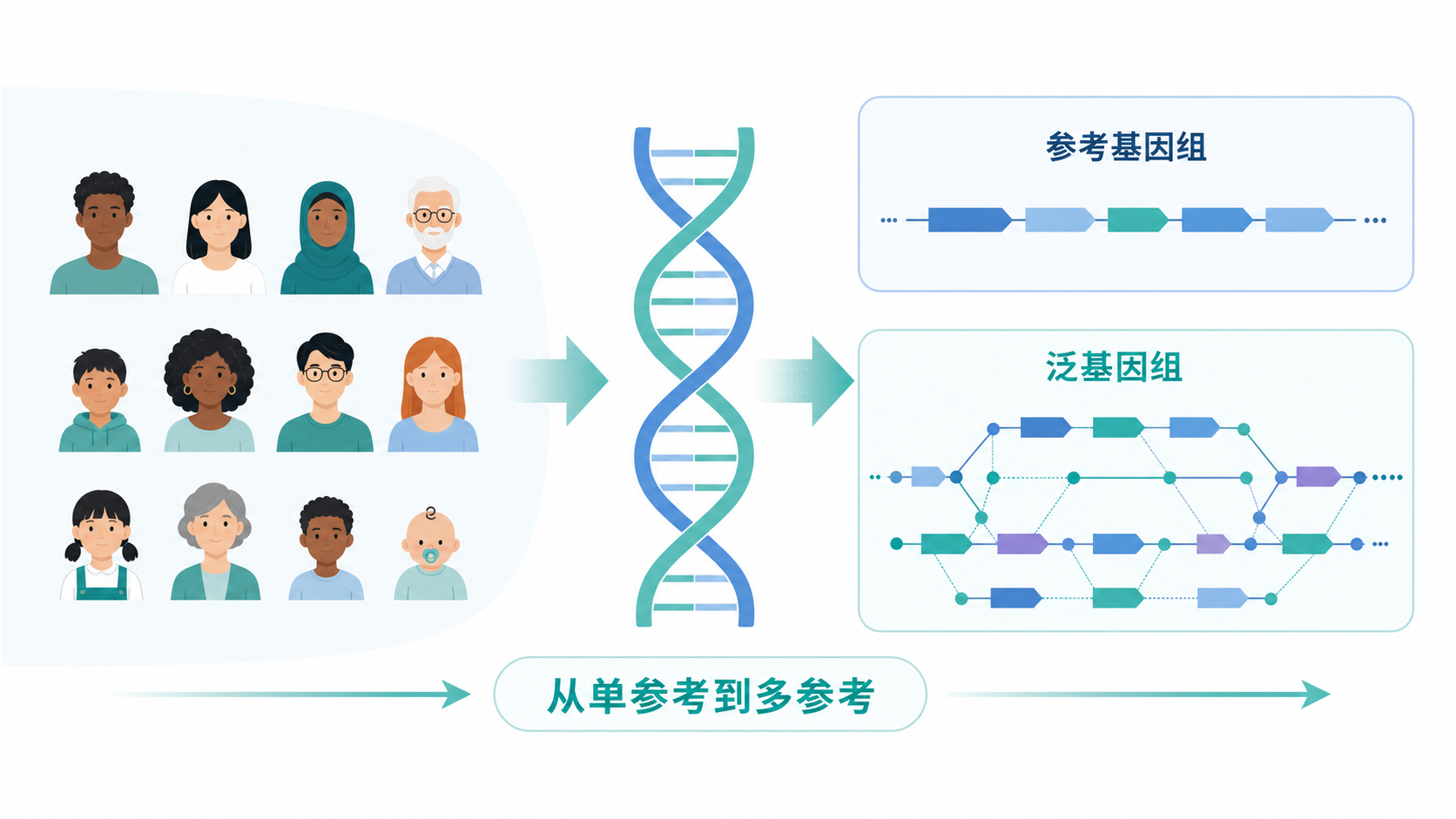 多个人群样本、DNA双螺旋、参考基因组与泛基因组网络图并列展示，突出“从单参考到多参考”的概念