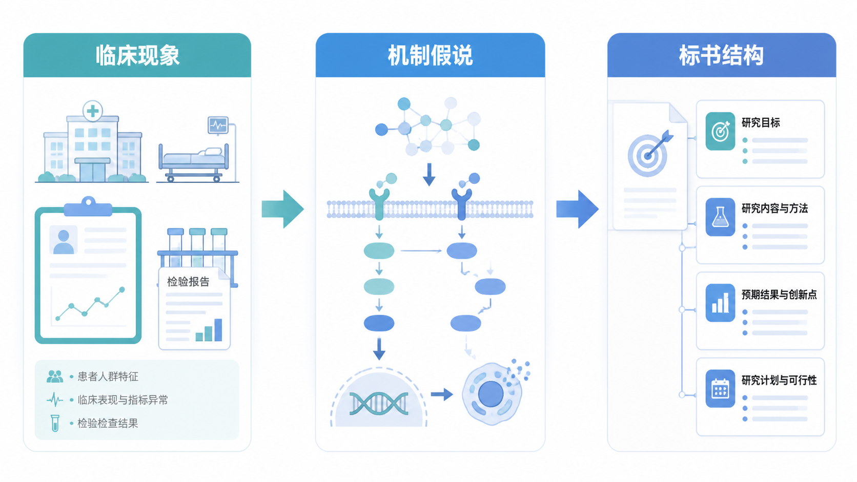 一张从临床现象到机制假说再到标书结构的流程图