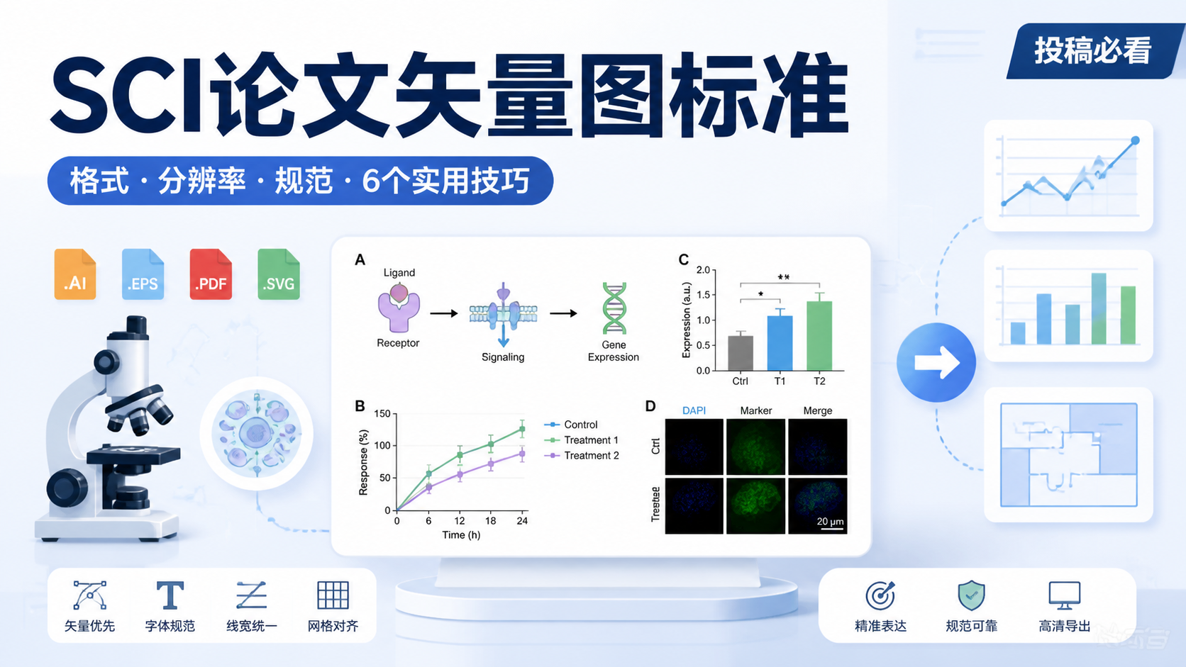SCI矢量图标准怎么写更规范？6个实用技巧