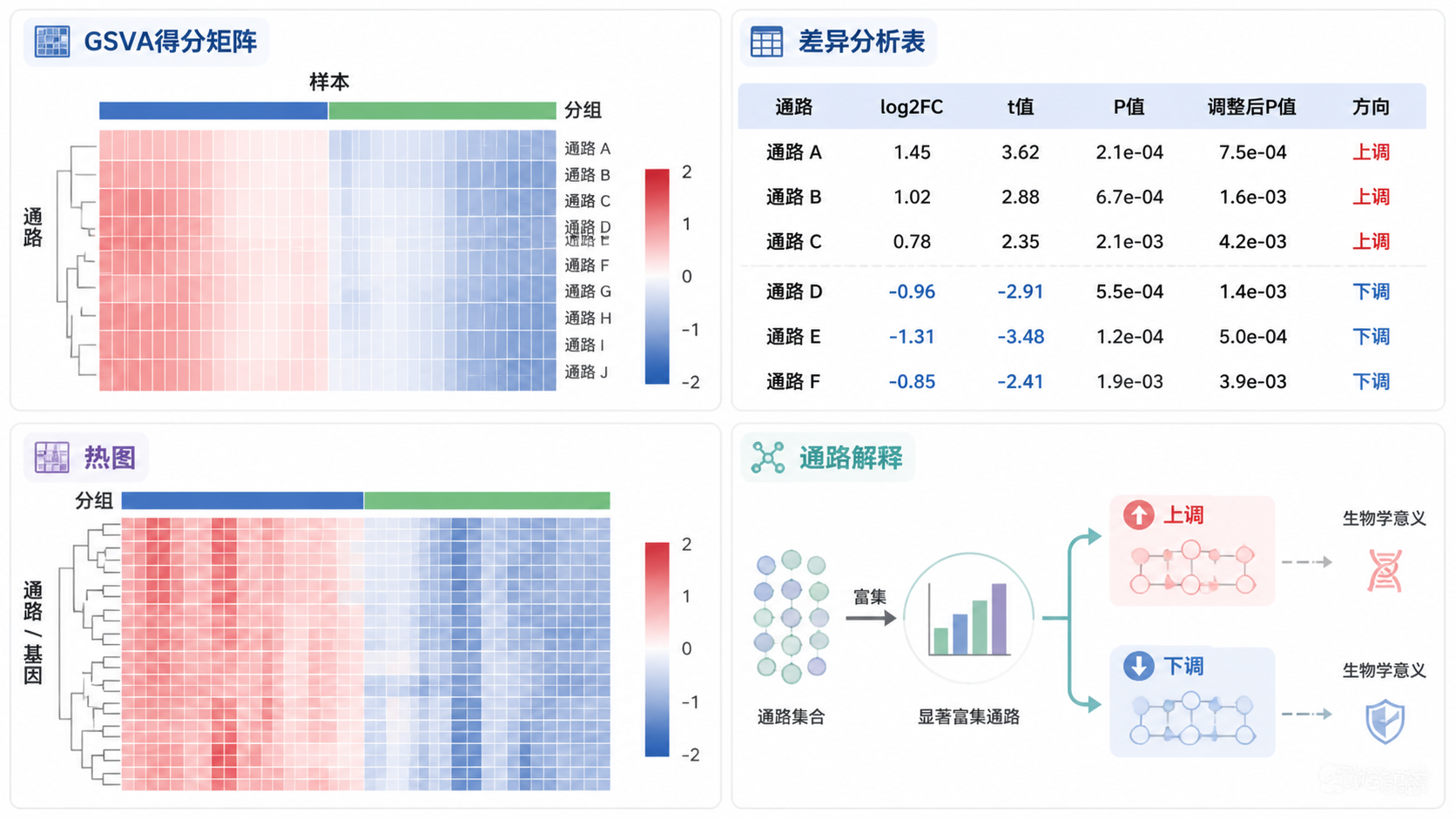 一页式结果总结图，包含GSVA得分矩阵、差异分析表、热图和通路解释四个模块，适合用于论文方法或结果部分概览。