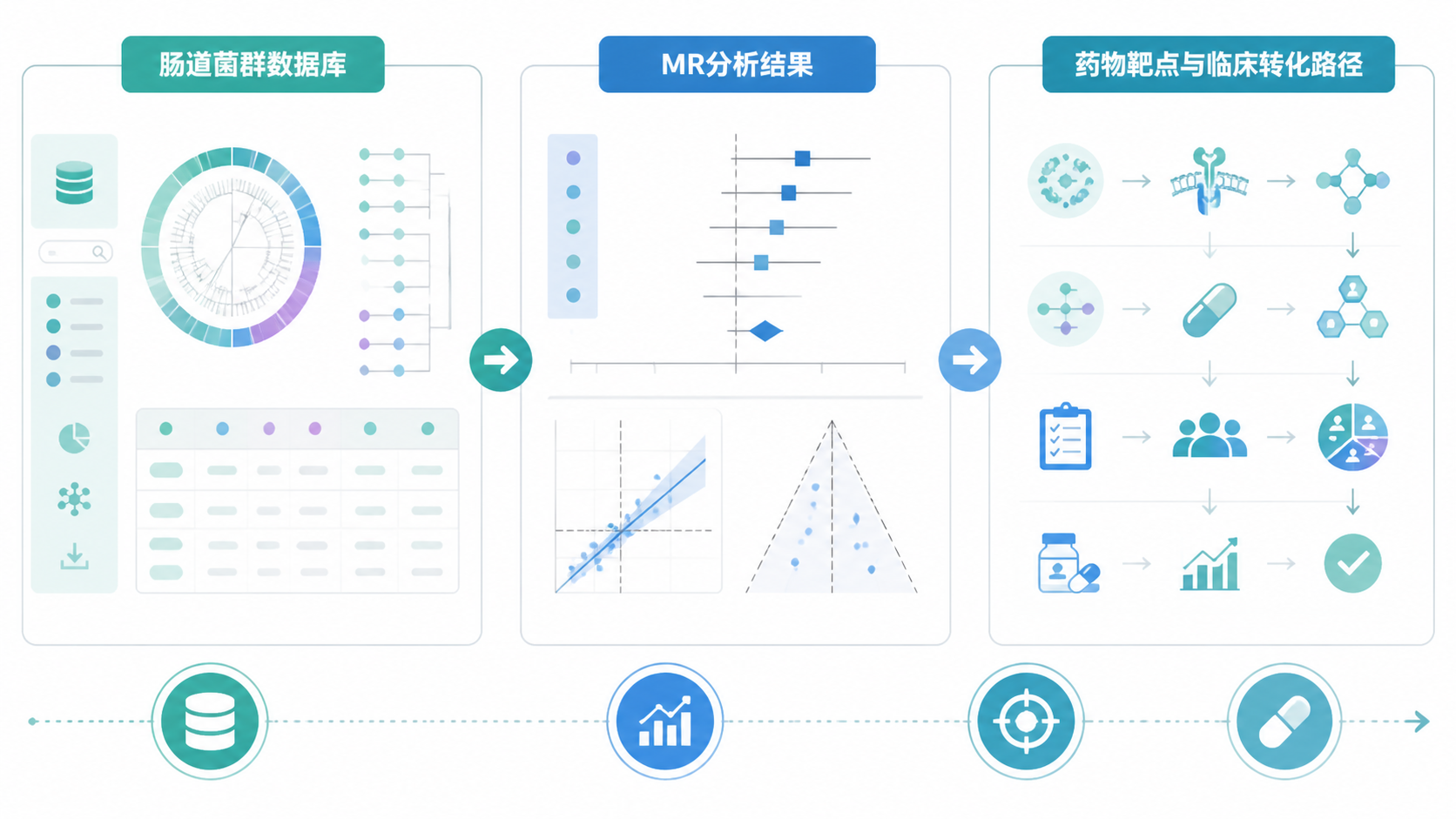 肠道菌群数据库、MR分析结果图、药物靶点与临床转化路径整合示意图